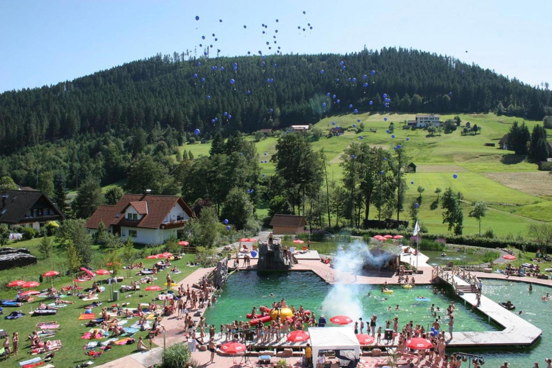 Ferienwohnung Schwarzwald Tannenzaepfle Baiersbronn Exterior photo